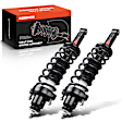 APSA0612 Rear Complete Strut & Coil Spring Assembly, Set of 2