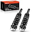 APSA0696 Front Complete Strut & Coil Spring Assembly, Set of 2