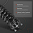 APSA0696 Front Complete Strut & Coil Spring Assembly, Set of 2