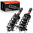 APSA0702 Rear Complete Strut & Coil Spring Assembly, Set of 2
