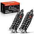 APSA0796 Rear Complete Strut & Coil Spring Assembly, Set of 2