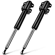 APSA0799 Front Shock Absorber, Set of 2