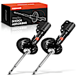 APSA0813 Rear Shock Absorber Strut, Set of 2