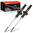 APSA0830 Rear Shock Absorber Strut, Set of 2