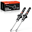 APSA0834 Front Shock Absorber Strut, Set of 2