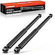 APSA0878 Rear Shock Absorber Strut, Set of 2