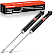APSA0887 Rear Shock Absorber, Set of 2