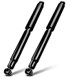 APSA0892 Rear Shock Absorber Strut, Set of 2