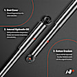 APSA0892 Rear Shock Absorber Strut, Set of 2