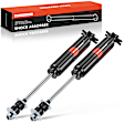 APSA0911 Front Shock Absorber, Set of 2