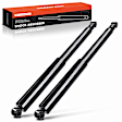 APSA0950 Rear Shock Absorber Strut, Set of 2
