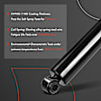 APSA0950 Rear Shock Absorber Strut, Set of 2