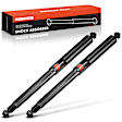 APSA0968 Rear Shock Absorber, Set of 2