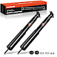 APSA0974 Front Shock Absorber, Set of 2
