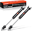 APSA0977 Rear Shock Absorber, Set of 2