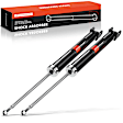 APSA0989 Rear Shock Absorber Strut, Set of 2