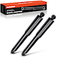 APSA1002 Rear Shock Absorber, Set of 2
