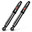 APSA1007 Rear Shock Absorber Strut, Set of 2