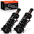 APSA1013 Rear Complete Strut & Coil Spring Assembly, Set of 2