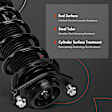 APSA1013 Rear Complete Strut & Coil Spring Assembly, Set of 2
