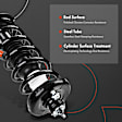 APSA1017 Rear Complete Strut & Coil Spring Assembly, Set of 2