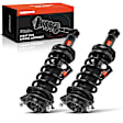 APSA1020 Rear Complete Strut & Coil Spring Assembly, Set of 2