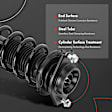 APSA1020 Rear Complete Strut & Coil Spring Assembly, Set of 2