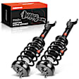 APSA1025 Front Complete Strut & Coil Spring Assembly, Set of 2
