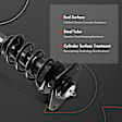 APSA1026 Rear Complete Strut & Coil Spring Assembly, Set of 2