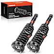 APSA1033 Rear Complete Strut & Coil Spring Assembly, Set of 2