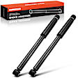 APSA1043 Rear Shock Absorber, Set of 2