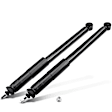 APSA1044 Rear Shock Absorber, Set of 2