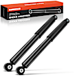 APSA1049 Rear Shock Absorber Strut, Set of 2