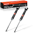 APSA1064 Rear Shock Absorber, Set of 2