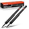 APSA1066 Rear Shock Absorber, Set of 2