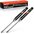 APSA1067 Rear Shock Absorber Strut, Set of 2