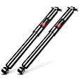 APSA1072 Rear Shock Absorber, Set of 2