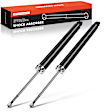 APSA1082 Rear Shock Absorber Strut, Set of 2