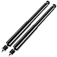 APSA1087 Rear Shock Absorber Strut, Set of 2