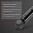 APSA1088 Rear Shock Absorber, Set of 2