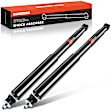 APSA1095 Rear Shock Absorber, Set of 2