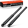 APSA1096 Rear Shock Absorber Strut, Set of 2