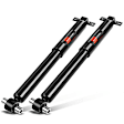 APSA1097 Rear Shock Absorber Strut, Set of 2