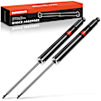 APSA1104 Rear Shock Absorber Strut, Set of 2