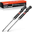 APSA1105 Rear Shock Absorber Strut, Set of 2