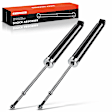 APSA1109 Rear Shock Absorber, Set of 2