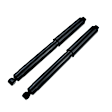 APSA1118 Rear Shock Absorber Strut, Set of 2