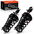 APSA1142 Rear Complete Strut & Coil Spring Assembly, Set of 2