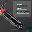 APSA1156 Rear Shock Absorber, Set of 2