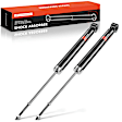 APSA1159 Rear Shock Absorber, Set of 2